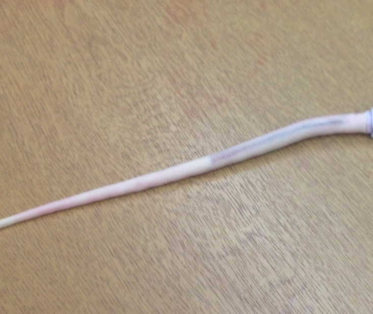 CurVet Rat Spare Tail