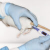 CurVet Rat Training Simulator - Image 2