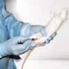 CurVet Rat Training Simulator - Image 5