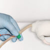 CurVet Rat Training Simulator - Image 6
