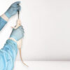 CurVet Rat Training Simulator - Image 7