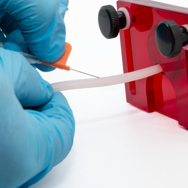 Albino (Pink) Mouse Tail Vein Simulator Training Kit